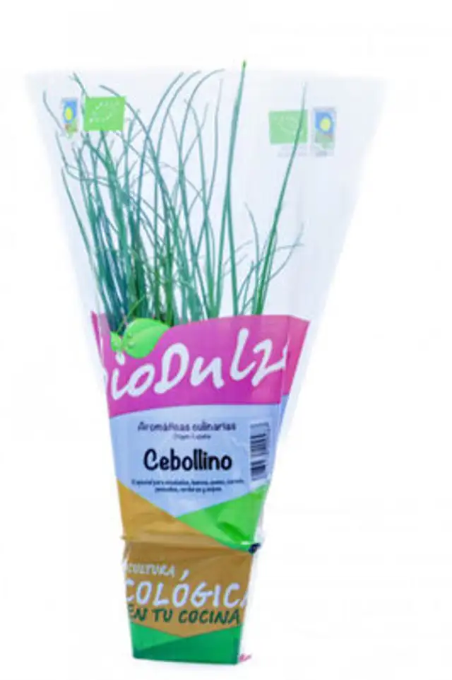 Maceta bio dulze cebollino
