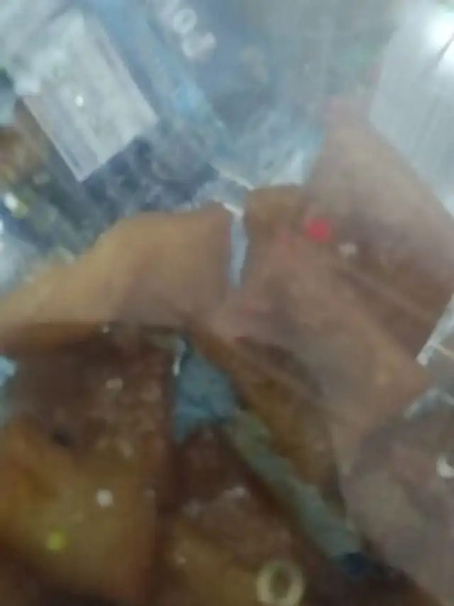 Pestiños