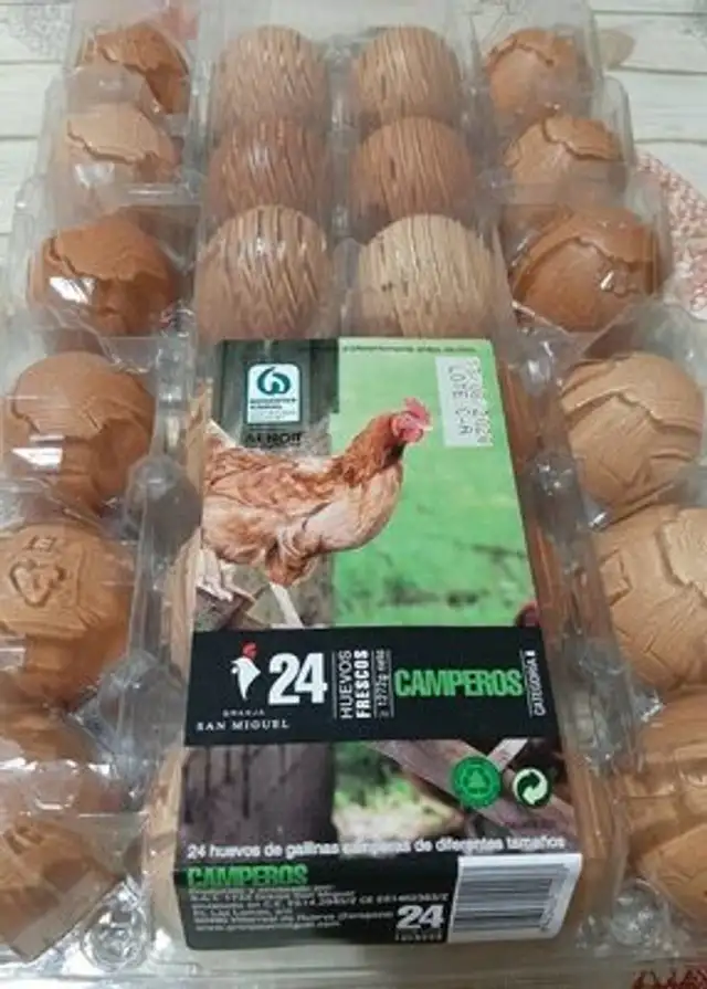 Huevos Camperos