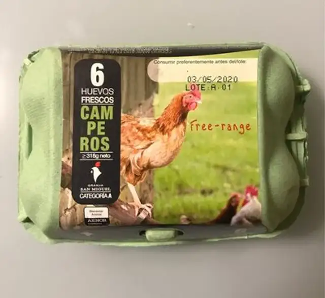 6 huevos camperos