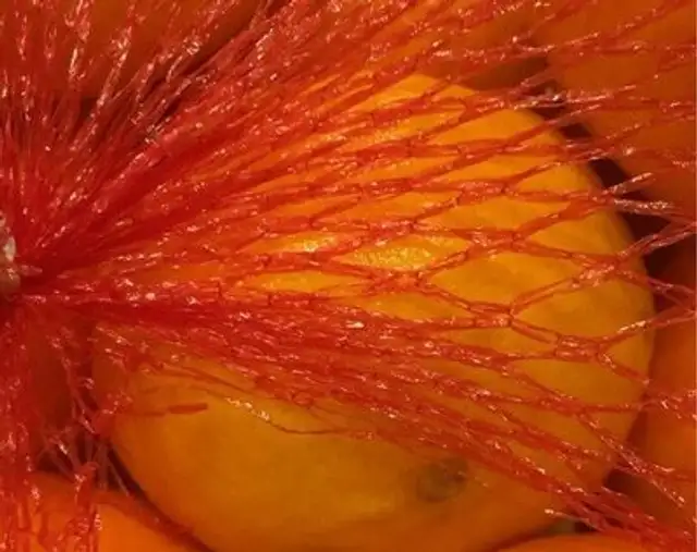 Mandarinas