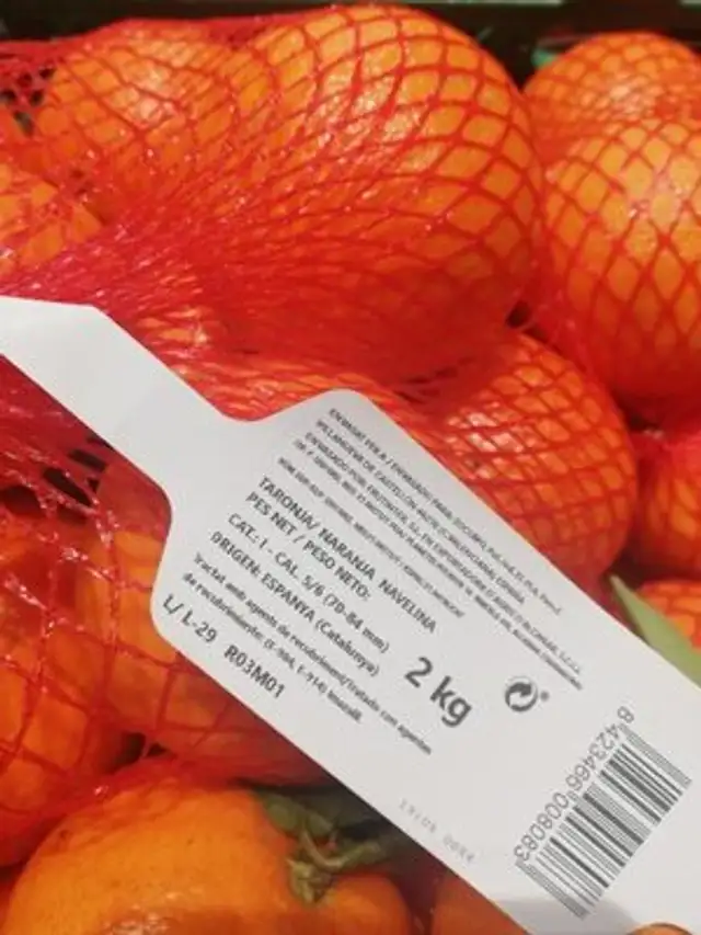 Naranja Navelina origen Tarragona
