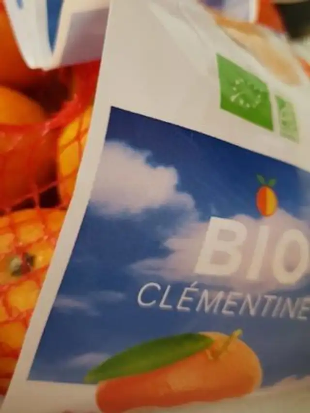 Clémentines Bio