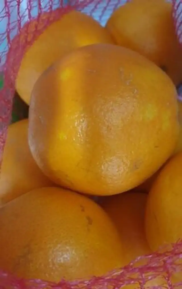 Naranjas de zumo