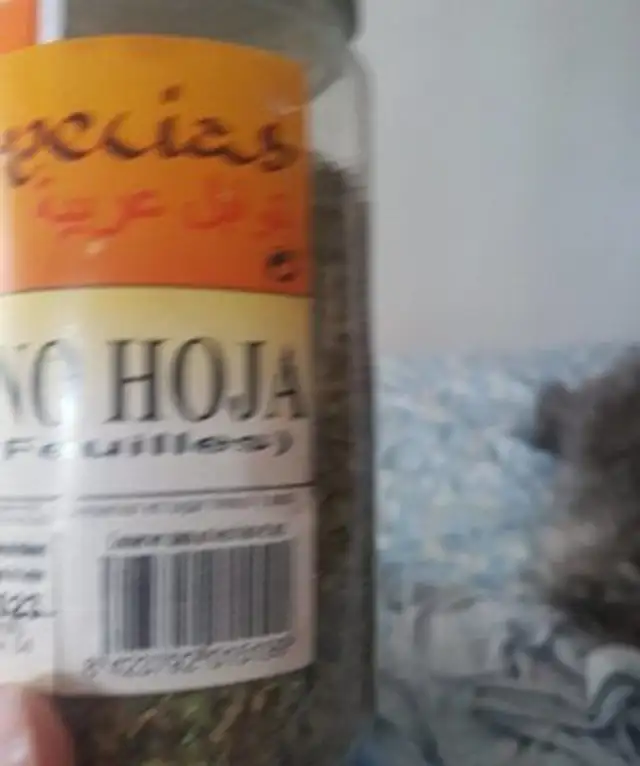 Orégano