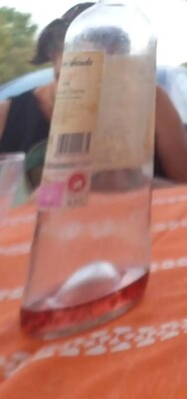 Vino