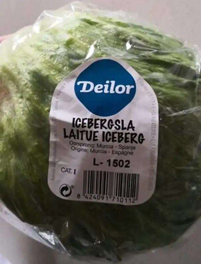 Icebergsla