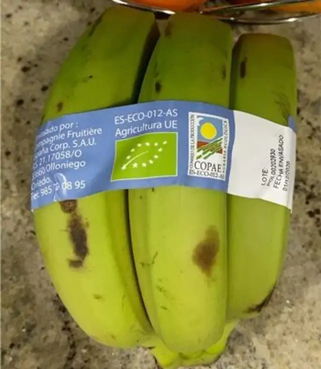 Platanos