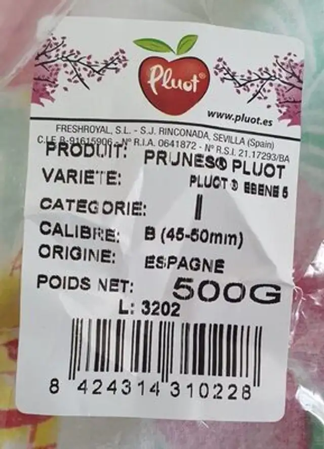 Pluots Blommeabrikos