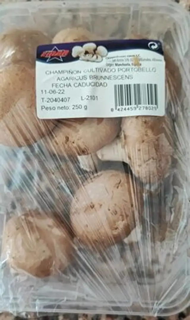 Champiñon