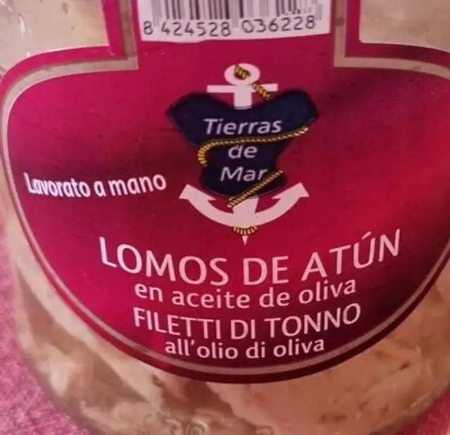 Filetti di tonno all'olio d'oliva
