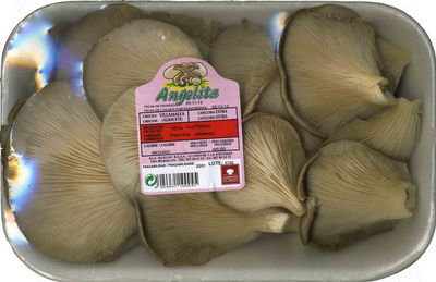 Setas front packaging