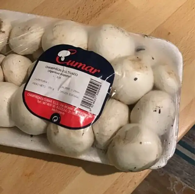 Champiñon cultivado