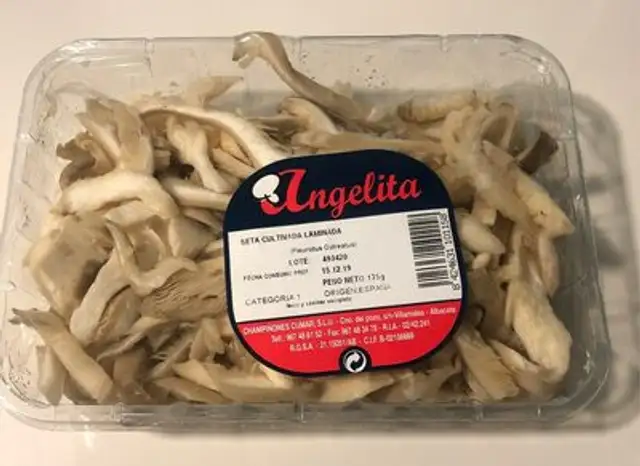 Seta cultivada laminada