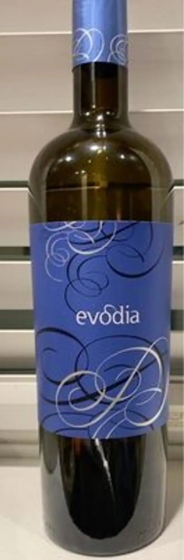 Garnacha 2019 Altovinum