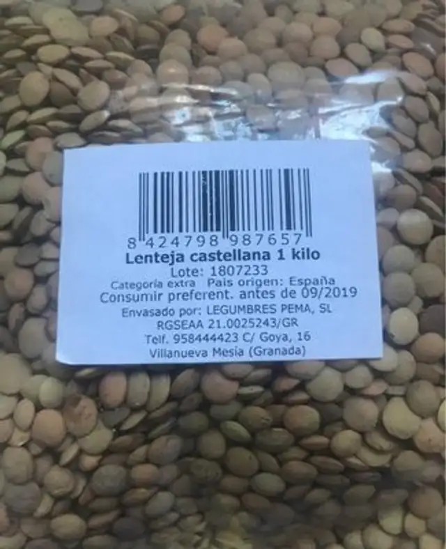 Lenteja castellana