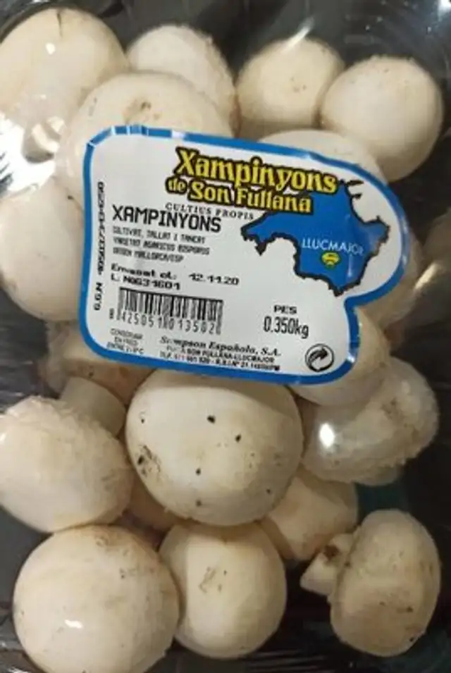 Champiñon
