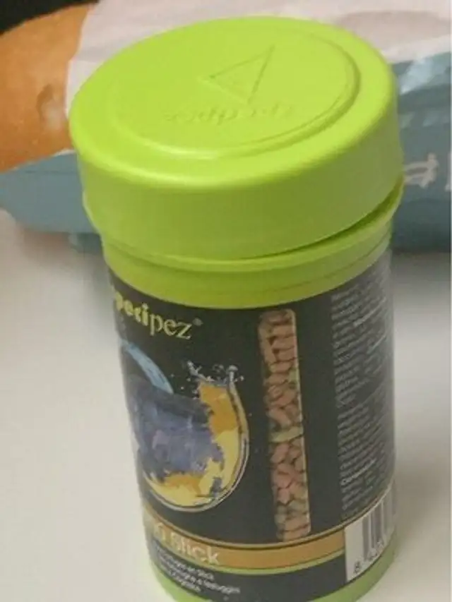 comida tortuga