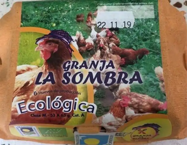 Huevos ecologicos