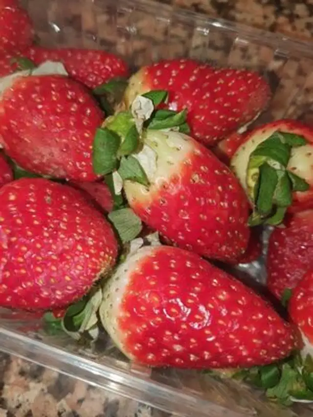 Fresas