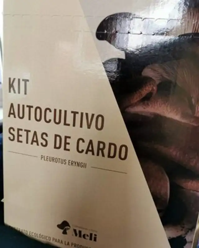 Setas de Cardo