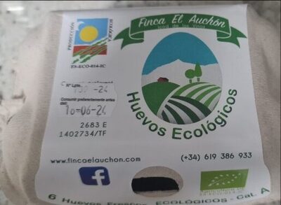 Huevos ecológicos