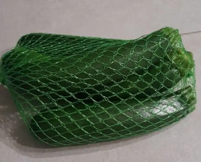 Courgette