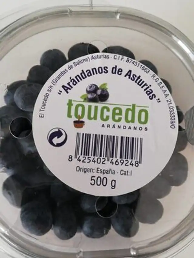 Arándanos Toucedo