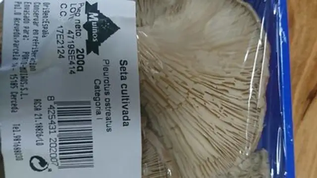 Seta cultivada