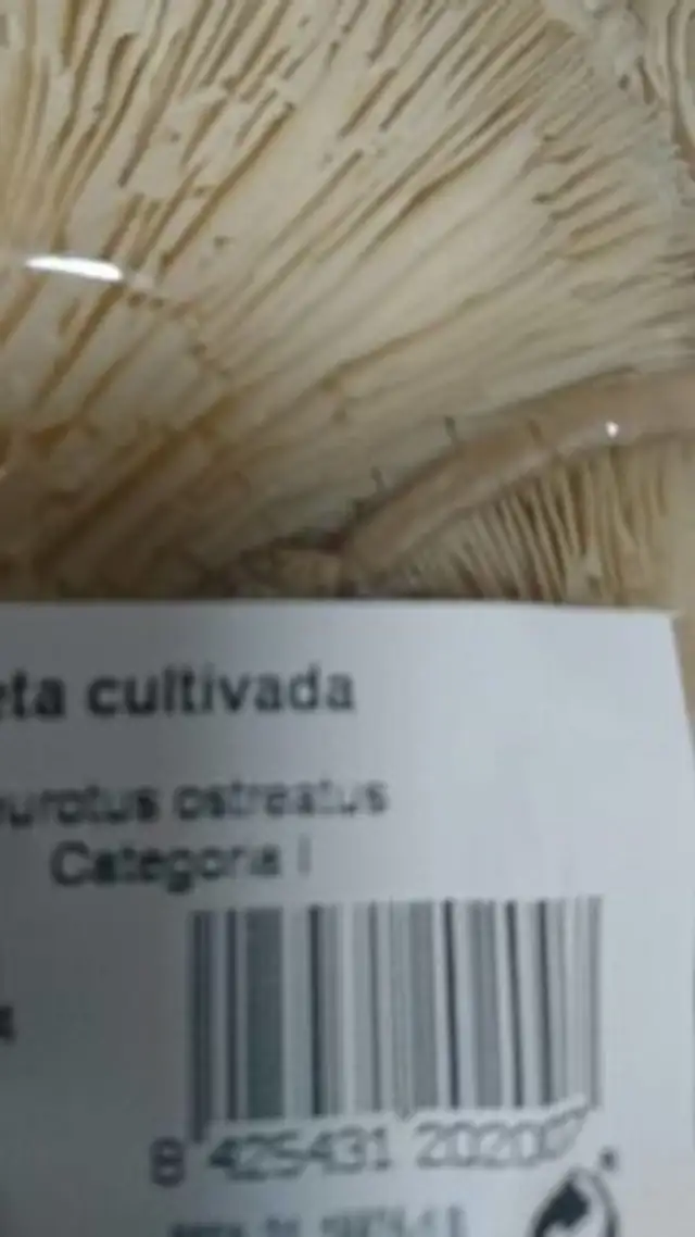 Seta cultivada nutrition facts table