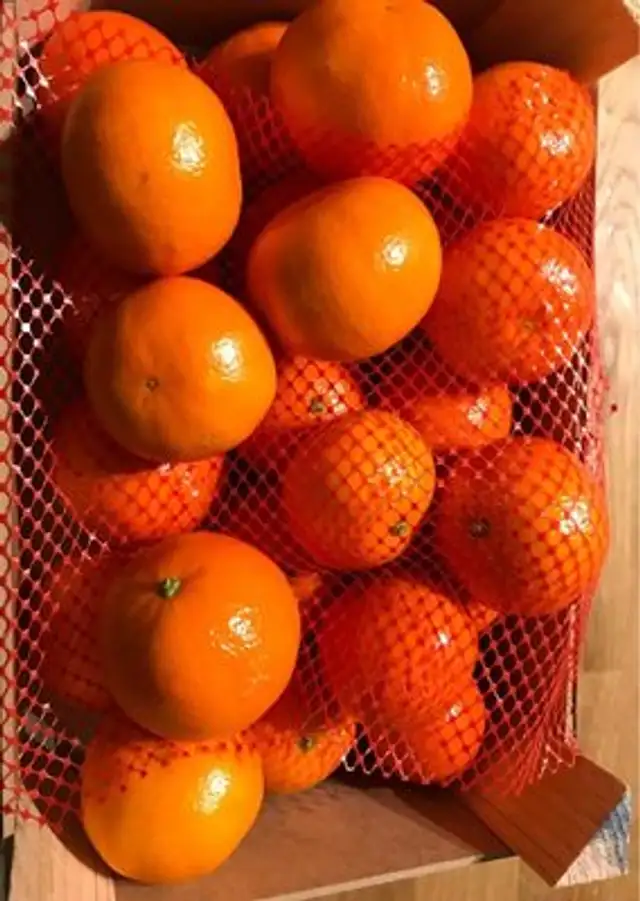 Clemenvilla