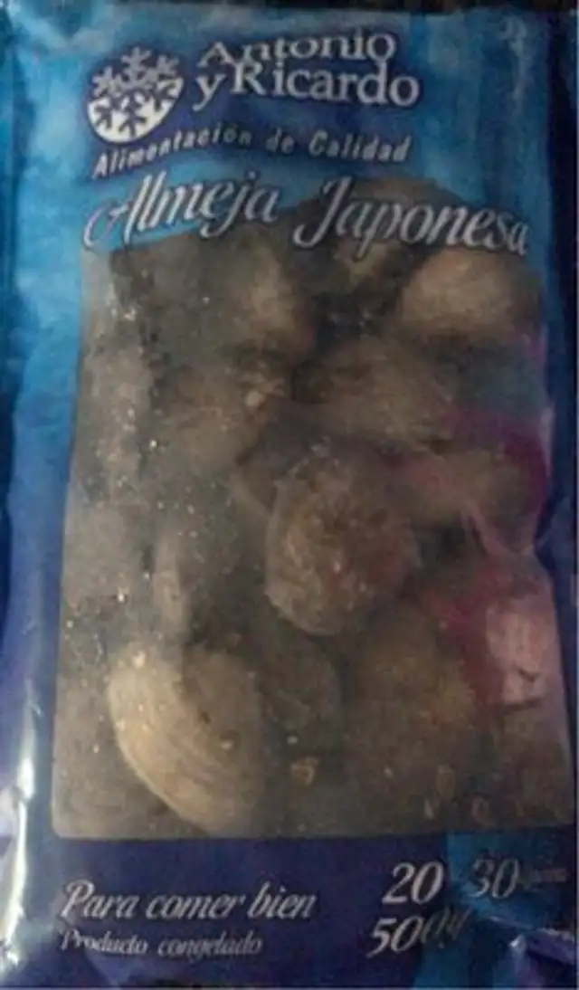 Almeja japonesa