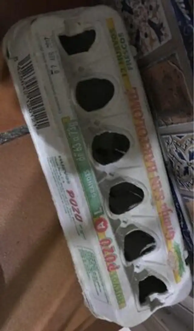 Huevos