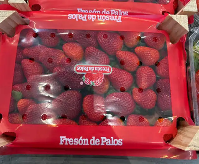 Fraises - Espagne