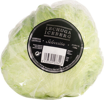 Lechuga iceberg selección