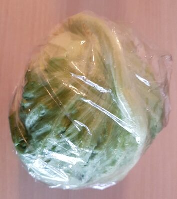 Laitue Iceberg