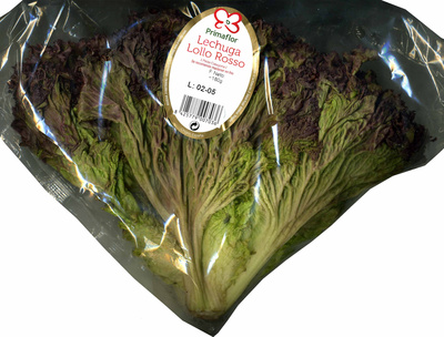 Lechuga Lollo rosso