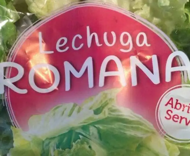 Lechuga romana