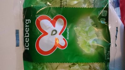 Enciam Iceberg Primaflor