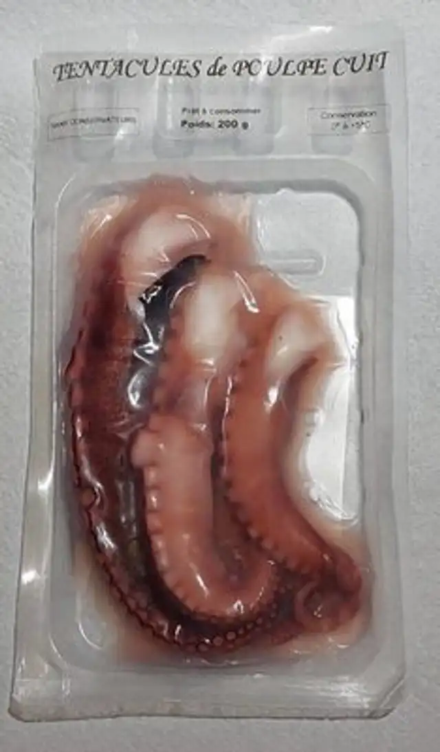 Tentacules de POULPE CUIT
