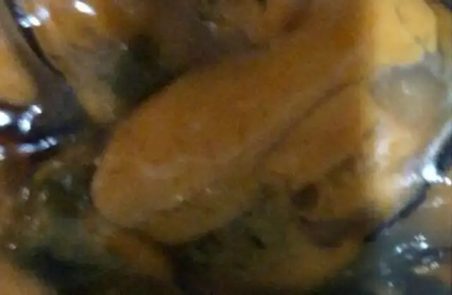 Moules cuites