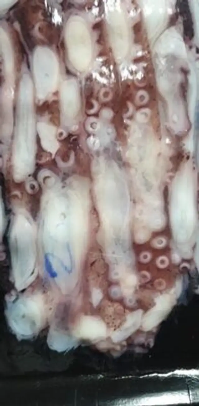 Cartaceo di polpo