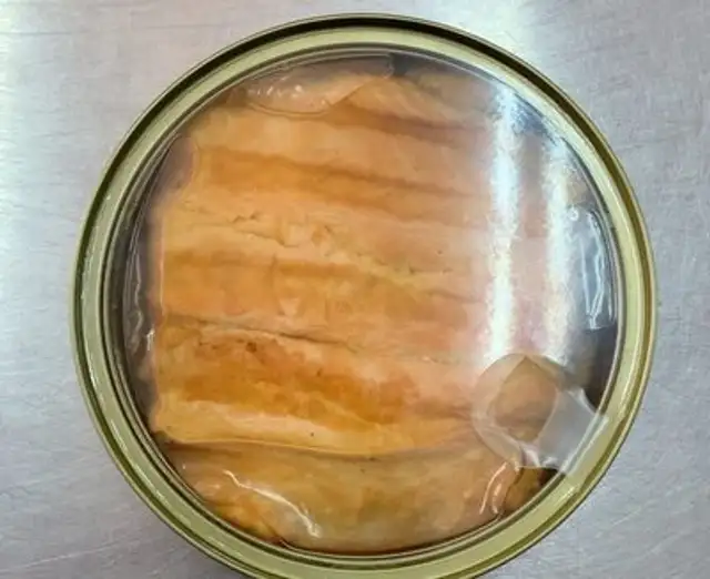 Salmon