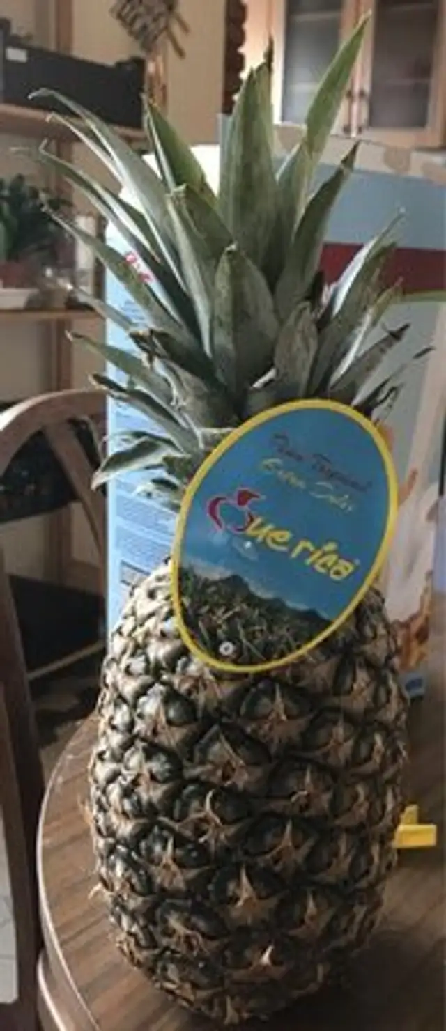 Piña Tropical