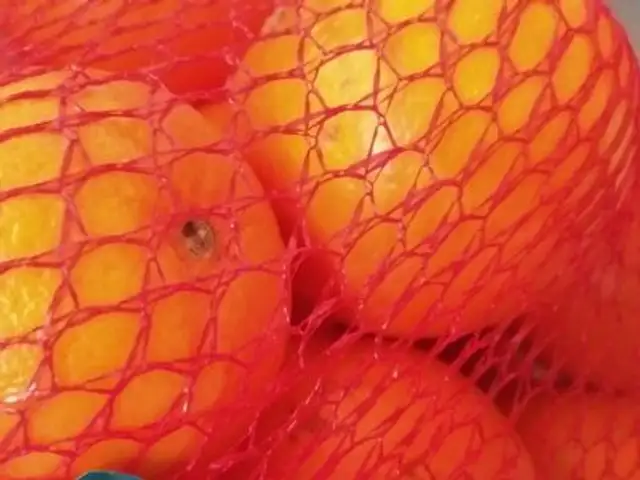 Naranja Navelina