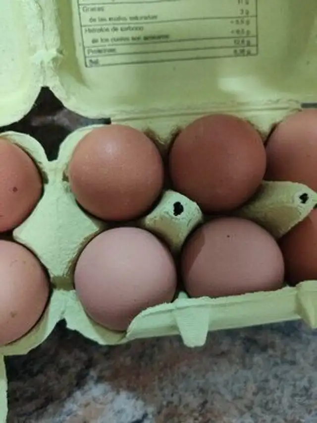 Huevos ovo city ingredients label