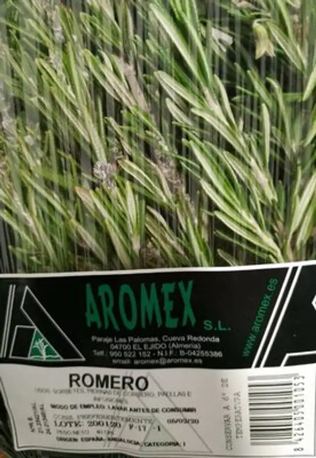 Romero