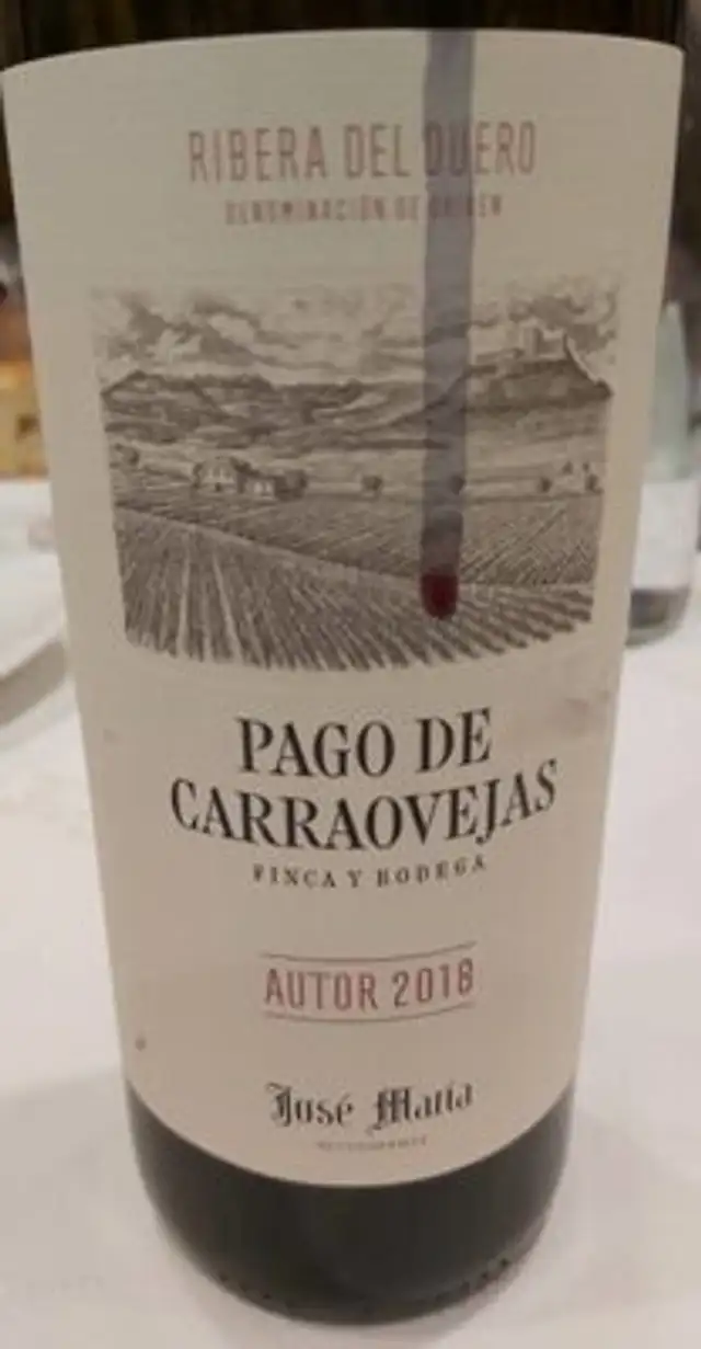Vino PAGO DE CAREAOVEJAS