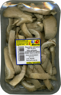 Setas de ostra laminadas "Alcarria"