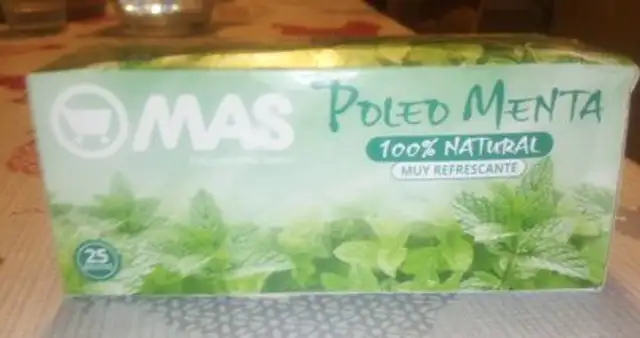 Tisanes Pôles Menta